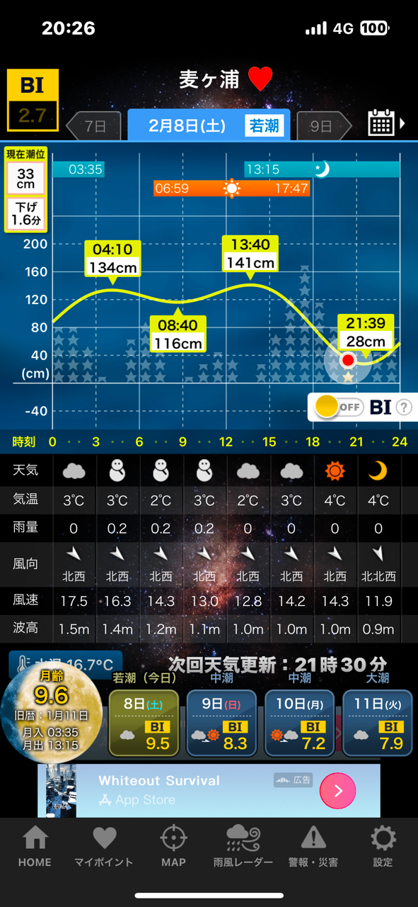 アオリイカ