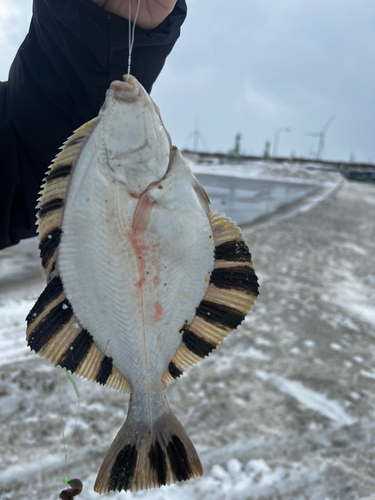 石狩湾新港