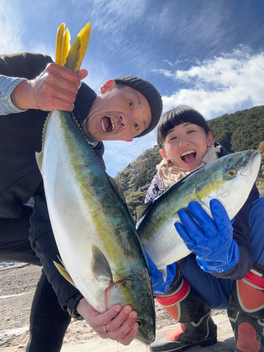 ブリの釣果