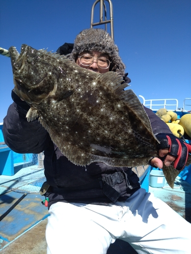 ヒラメの釣果