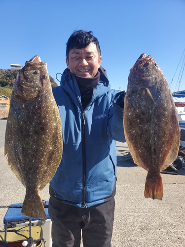 ヒラメの釣果