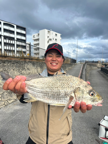 釣果