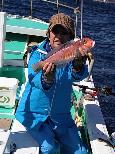 アカアマダイの釣果