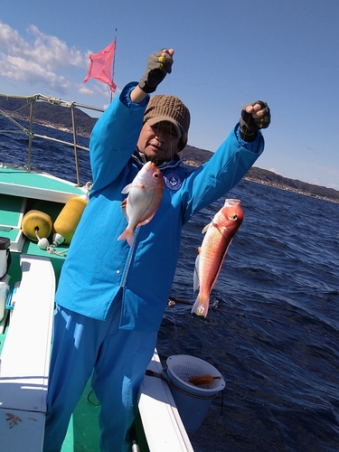 アカアマダイの釣果