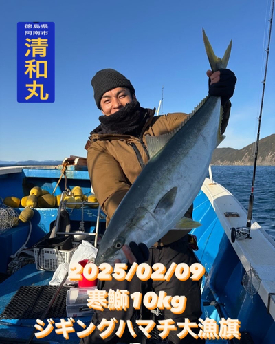 ブリの釣果