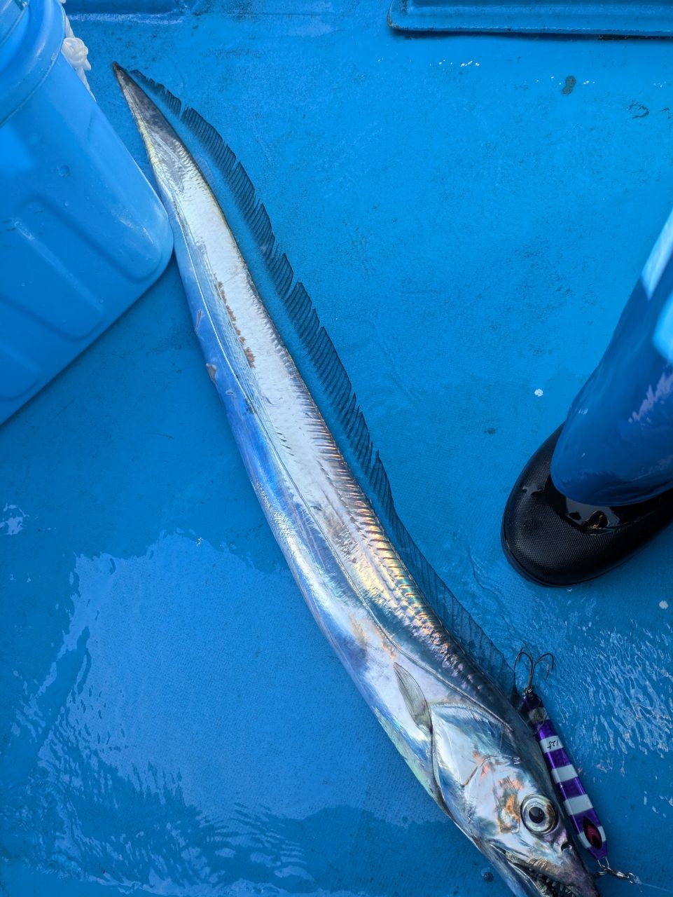 釣りバカじいさんさんの釣果 2枚目の画像