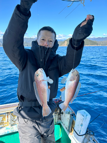 シロアマダイの釣果