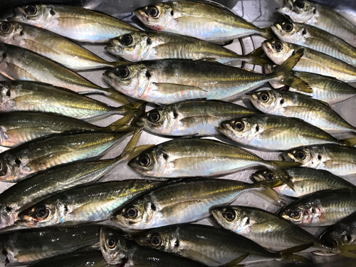 煙樹ヶ浜