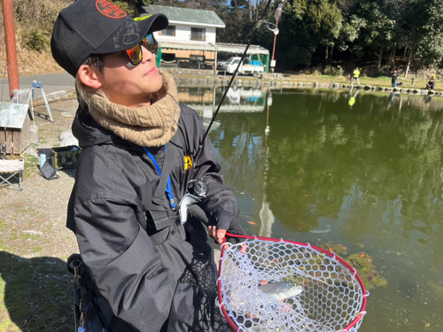 ニジマスの釣果