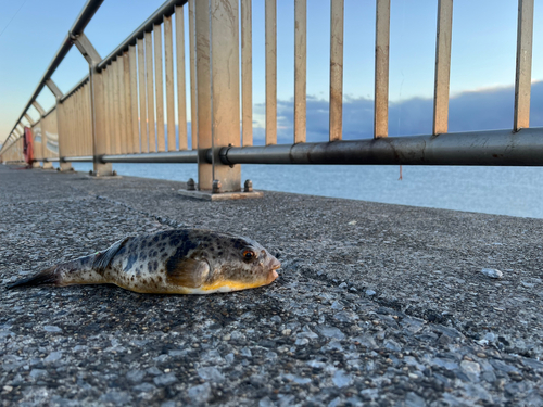 東扇島西公園