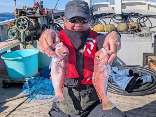 アマダイの釣果