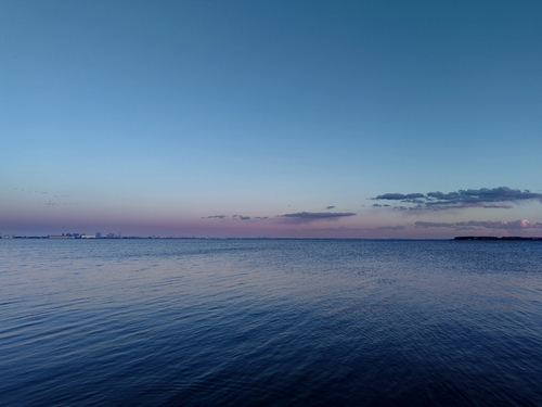 浦安美浜公園