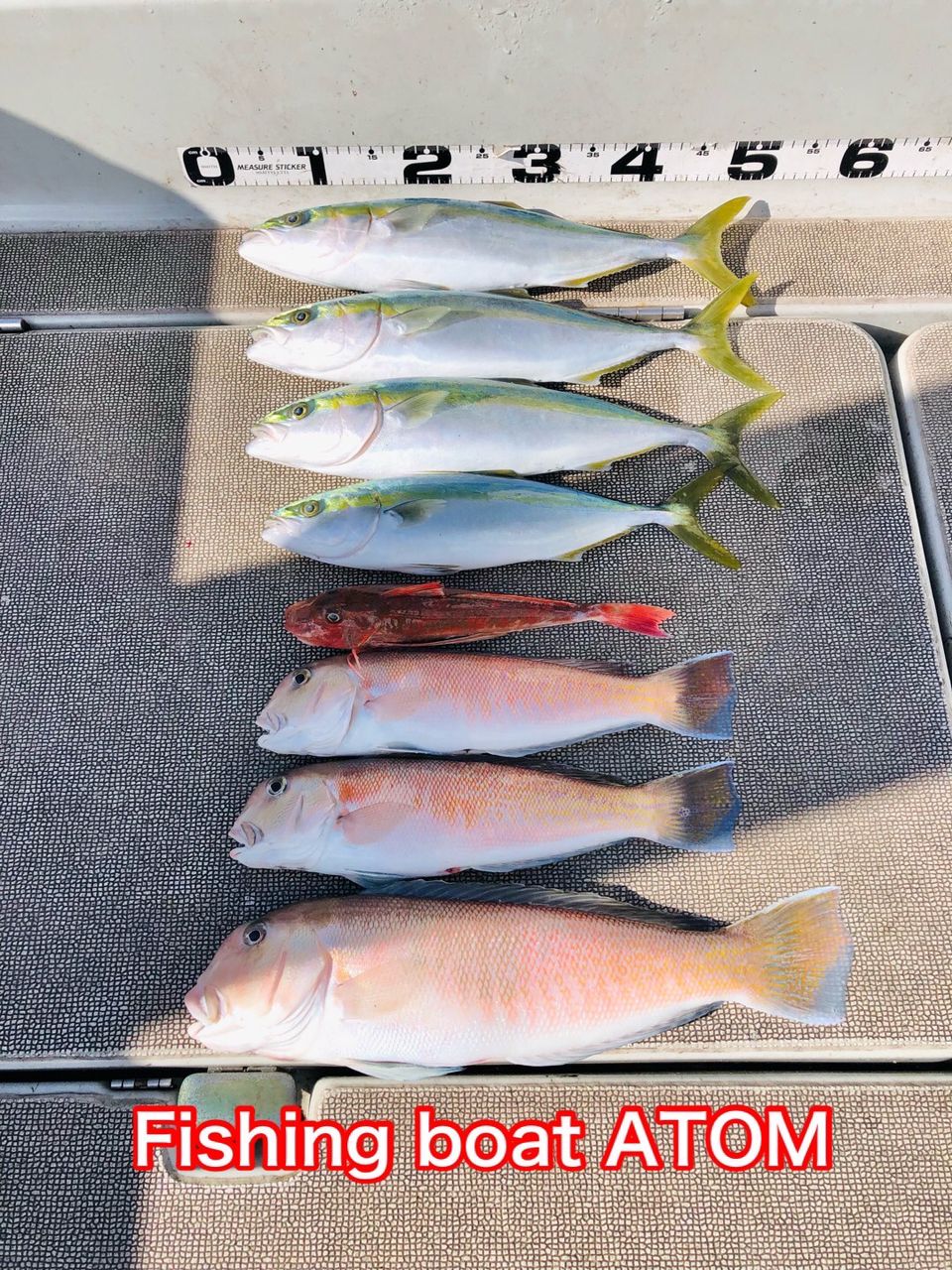 fishingboat.atomさんの釣果 2枚目の画像