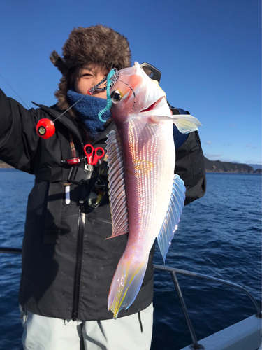 アマダイの釣果