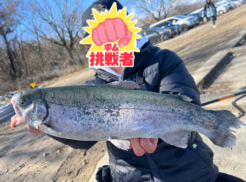 スチールヘッドの釣果