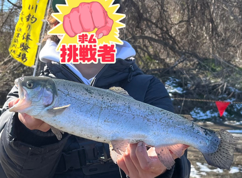 スチールヘッドの釣果