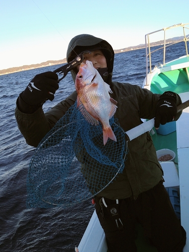 キダイの釣果