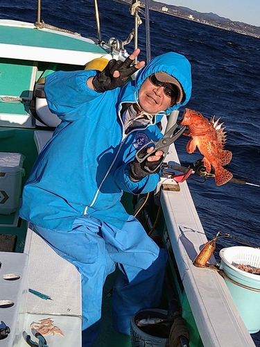 オニカサゴの釣果