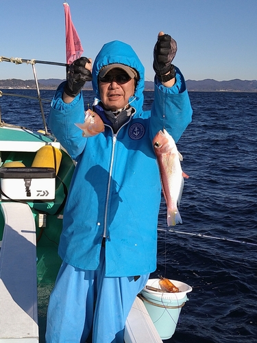 アカアマダイの釣果