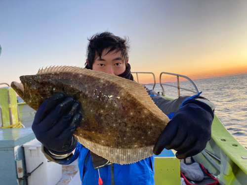 ヒラメの釣果