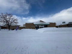 ワカサギの釣果