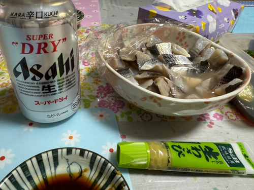 コノシロの釣果