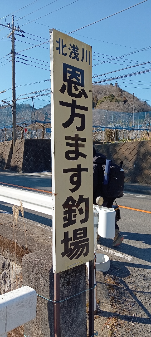 ニジマス