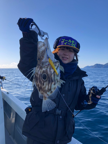 マトウダイの釣果