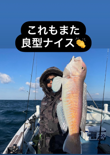 シロアマダイの釣果