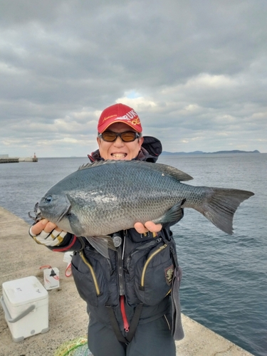 クチブトグレの釣果