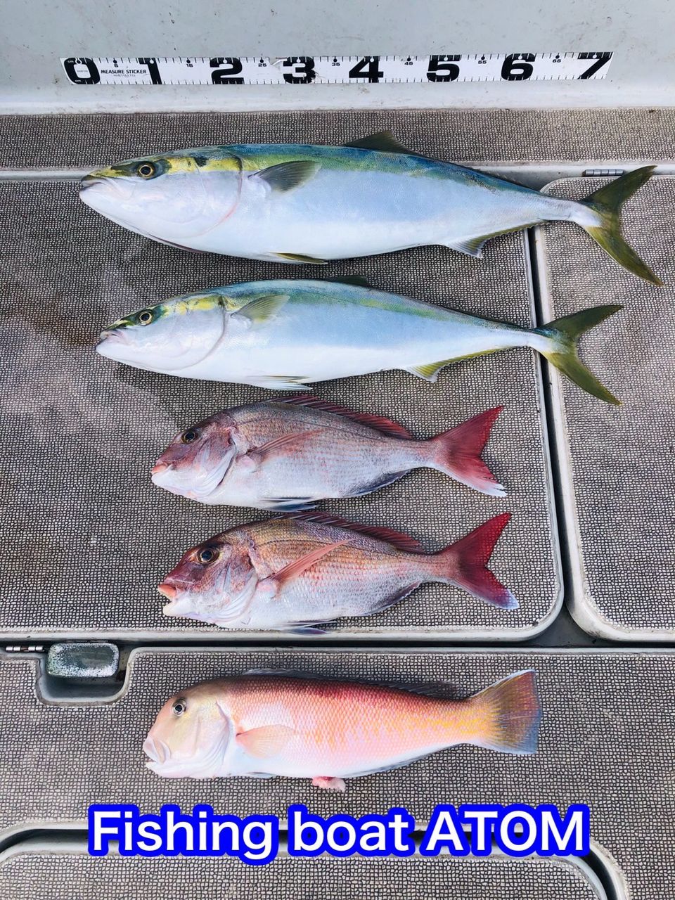fishingboat.atomさんの釣果 2枚目の画像