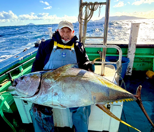 キハダマグロの釣果