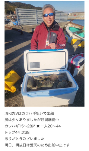 カワハギの釣果