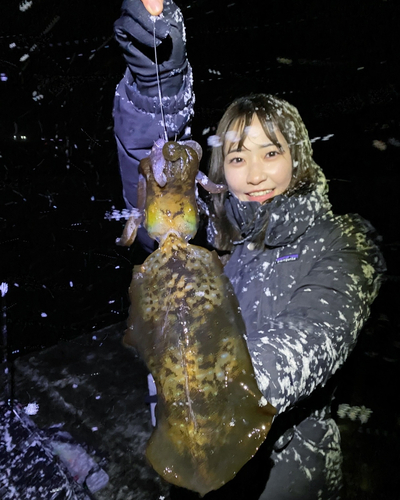 尾鷲湾