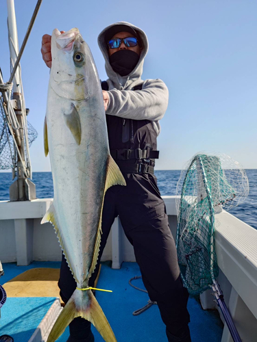 ヒラマサの釣果