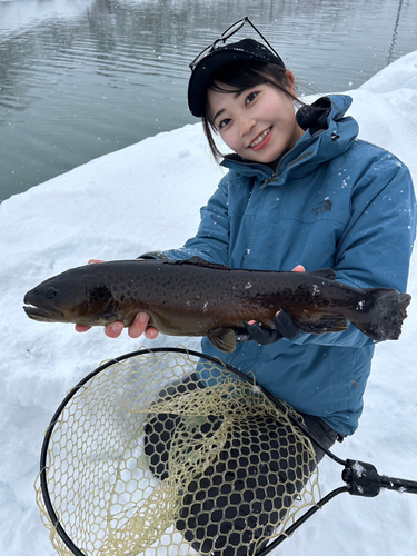 長野県北部