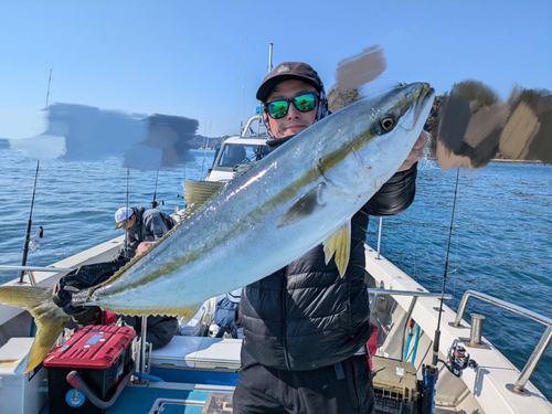 ブリの釣果