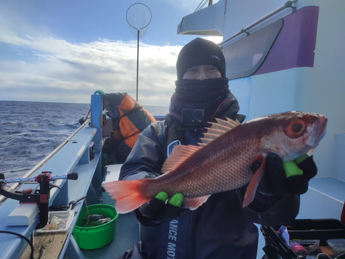 アカムツの釣果