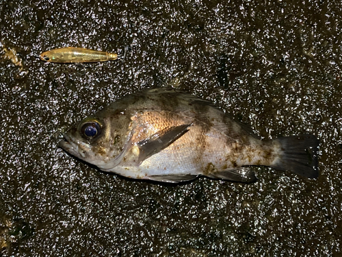 松ヶ浜漁港