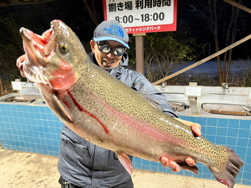 ニジマスの釣果