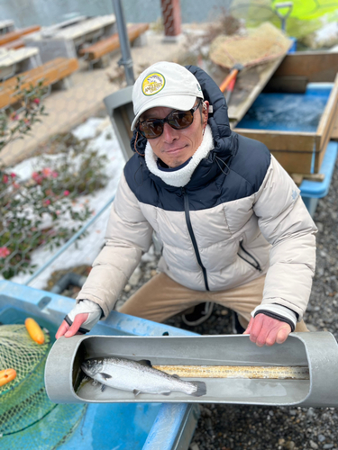 サクラマスの釣果