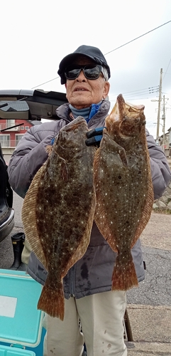 ヒラメの釣果