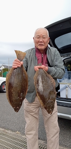 ヒラメの釣果