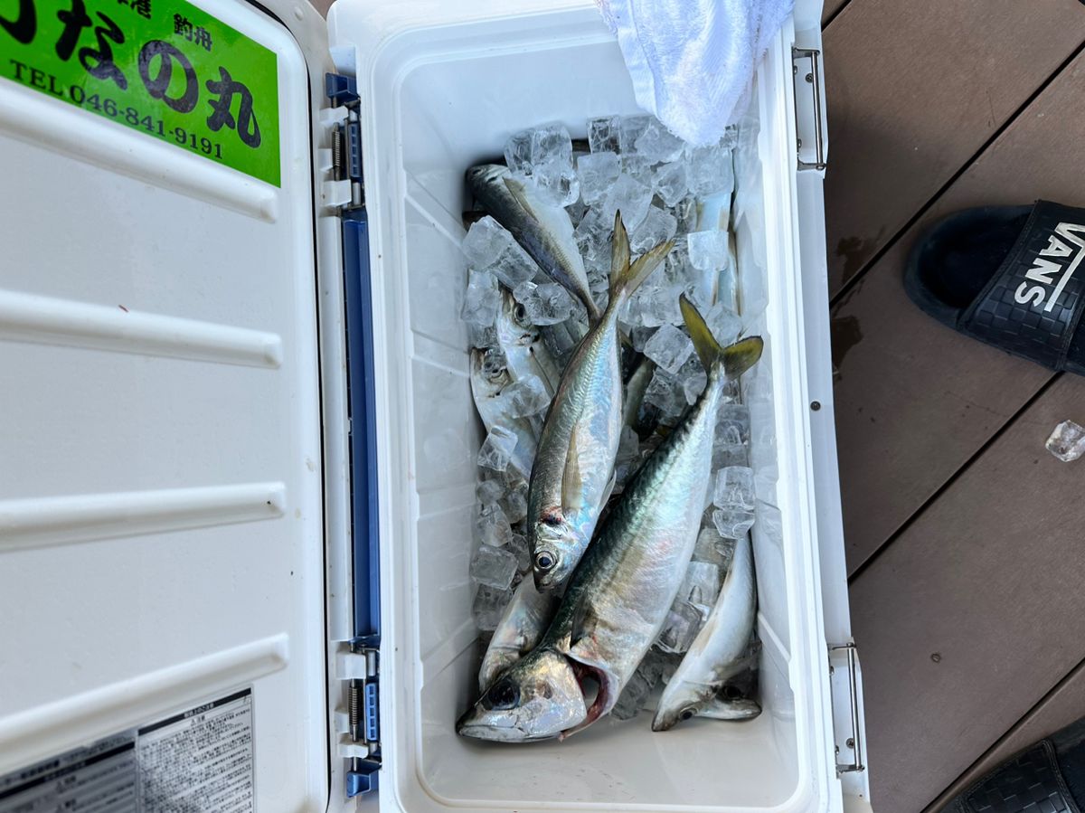 釣り人見習いさんの釣果 2枚目の画像