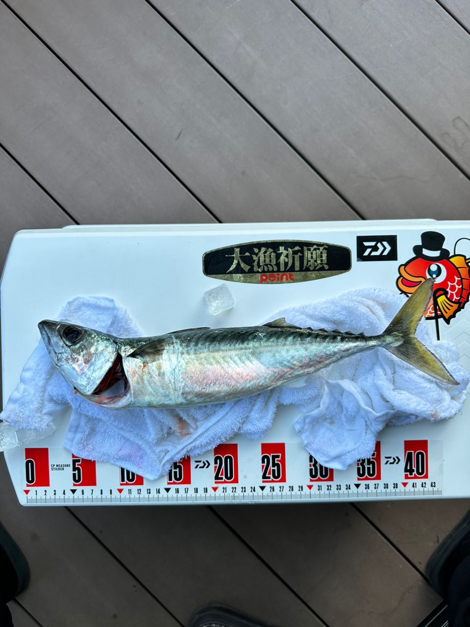 釣り人見習いさんの釣果 3枚目の画像