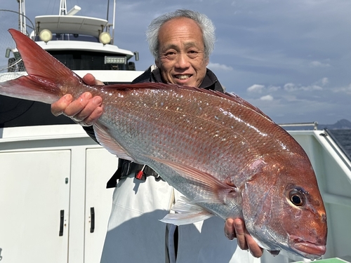 マダイの釣果