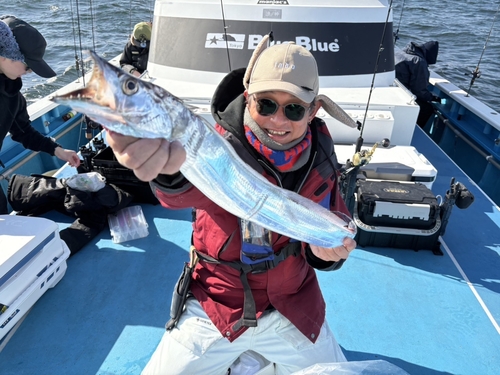 タチウオの釣果