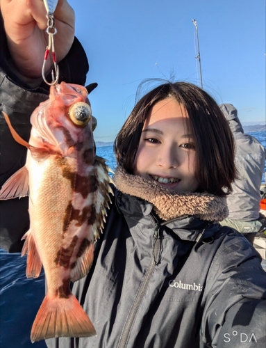 オキメバルの釣果