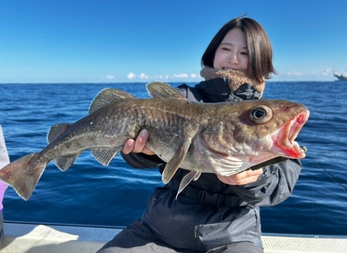 マダラの釣果