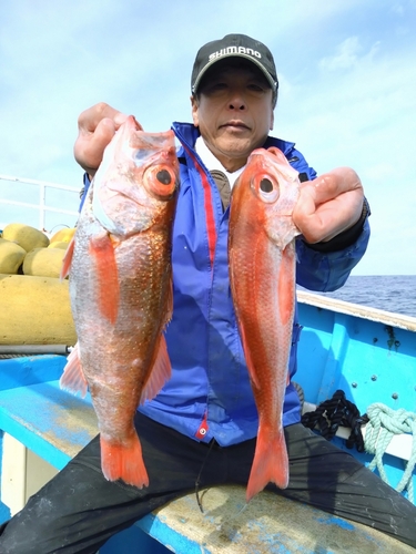 アカムツの釣果